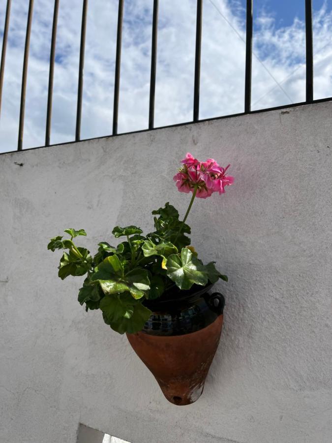 Atico Centro 17 Appartement Jerez de la Frontera Buitenkant foto